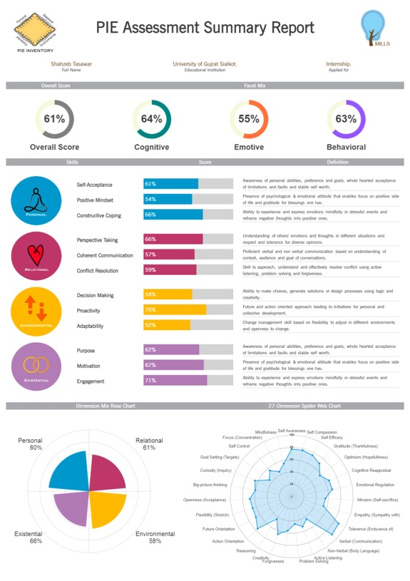 http://millskills.com/wp-content/uploads/2024/12/PIE-Assessment-Summary-Report.jpg