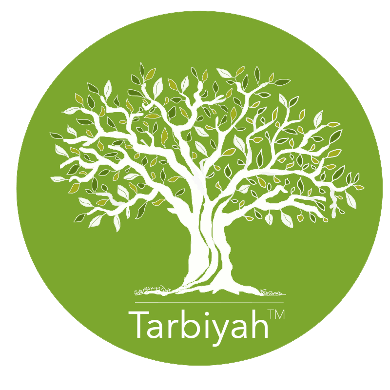 http://millskills.com/wp-content/uploads/2024/12/Tarbiyah-logo-English.png